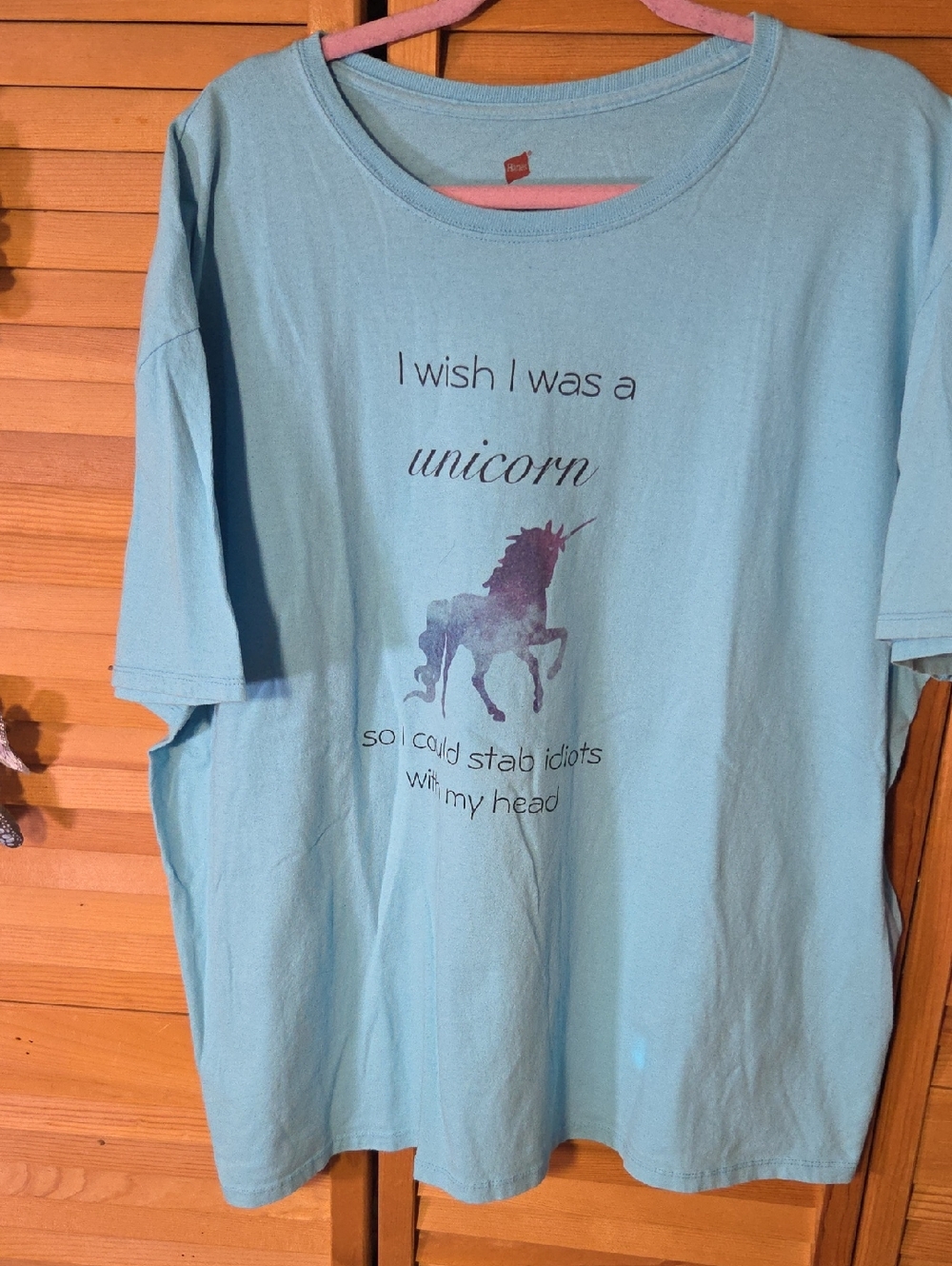 Hanes Light Blue Unicorn Graphic Short Sleeve Tee